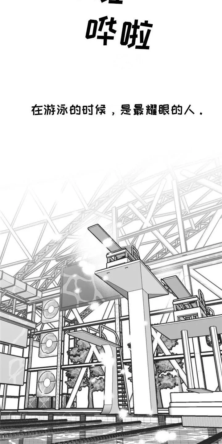 寻找波浪里的你漫画漫画,第39章：耀眼18图