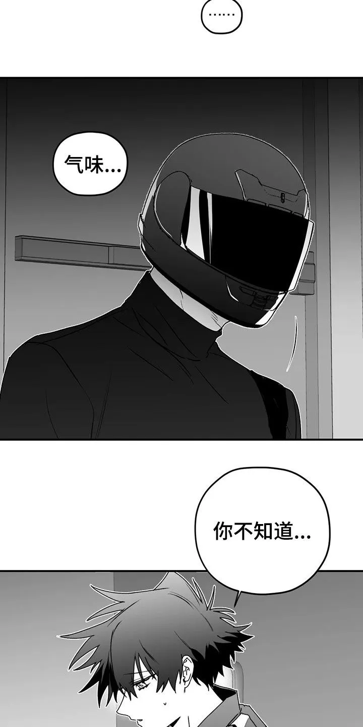 寻找波浪里的你漫画漫画,第54章：发现3图