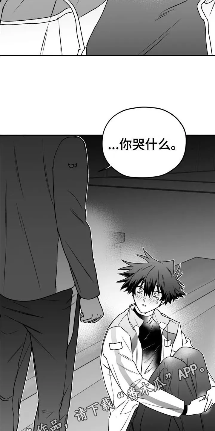 寻找波浪里的你漫画漫画,第36章：哭泣16图