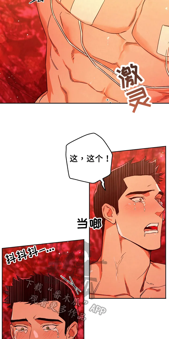 佣兵保镖漫画双男主漫画,第125章：【第二季】爱好6图