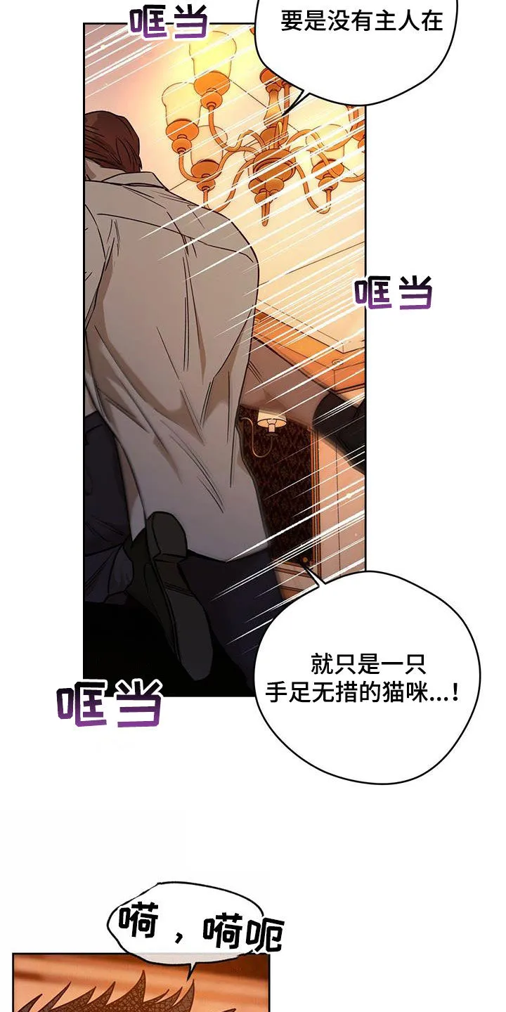 佣兵保镖漫画漫画,第157章：【第三季】不可以没有我21图