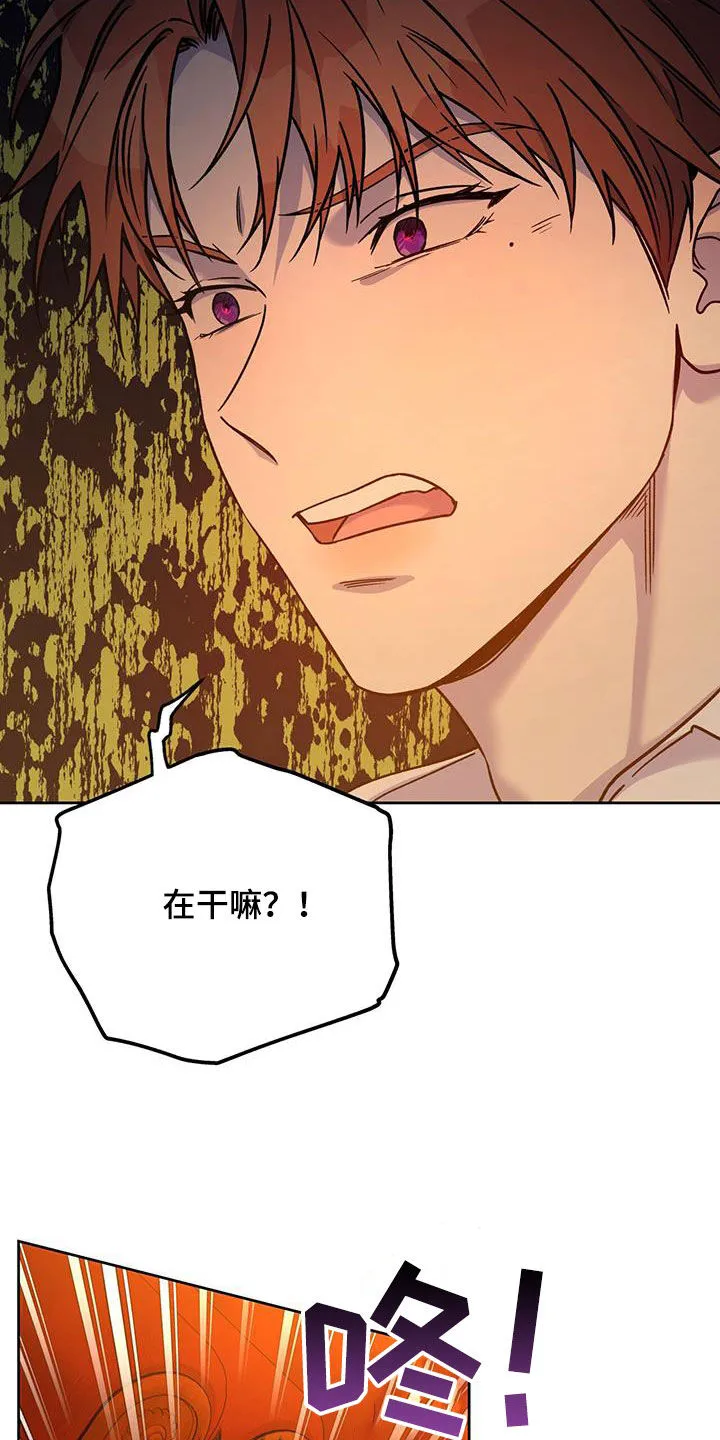 佣兵保镖漫画漫画,第158章：【第三季】太珍贵了10图