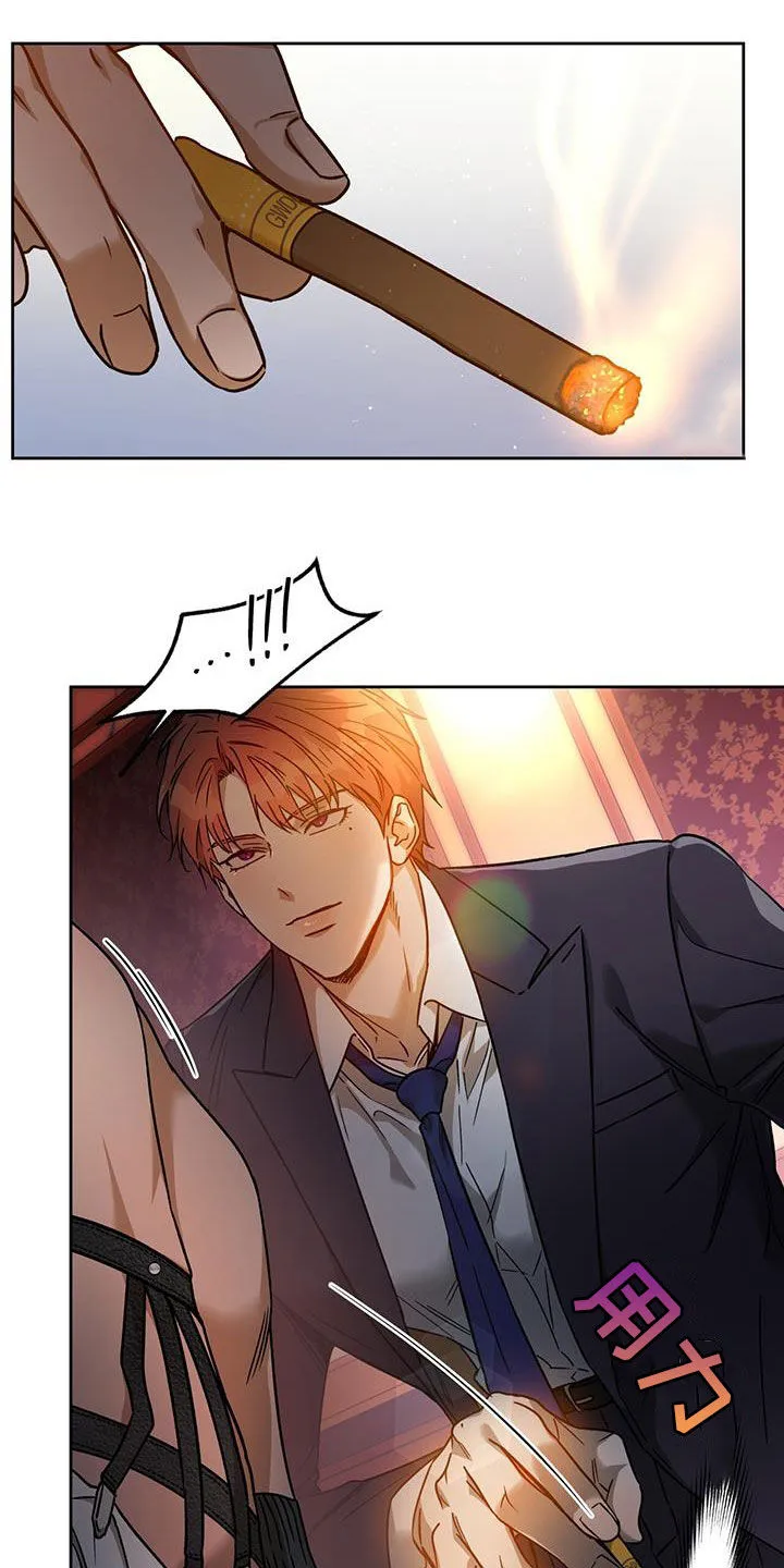 佣兵保镖漫画漫画,第152章：【第三季】亲自确认13图