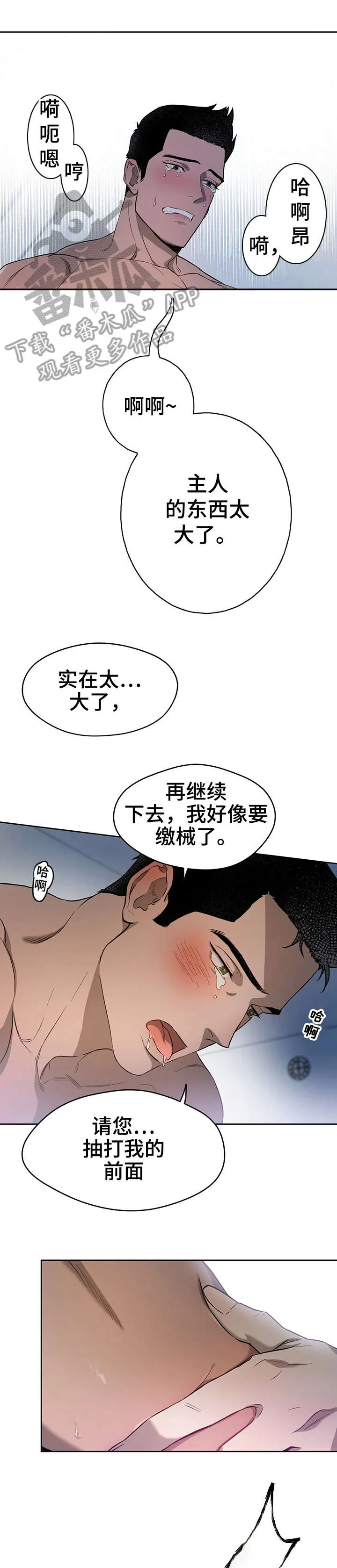 佣兵保镖漫画双男主漫画,第23章：小猫咪8图