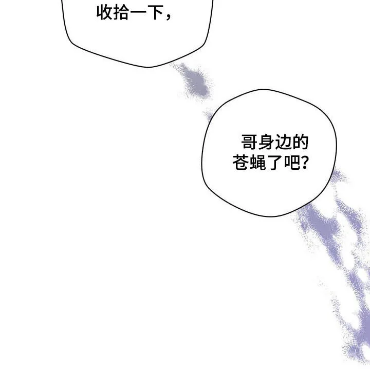 佣兵保镖漫画漫画,第97章：【第二季】苍蝇22图