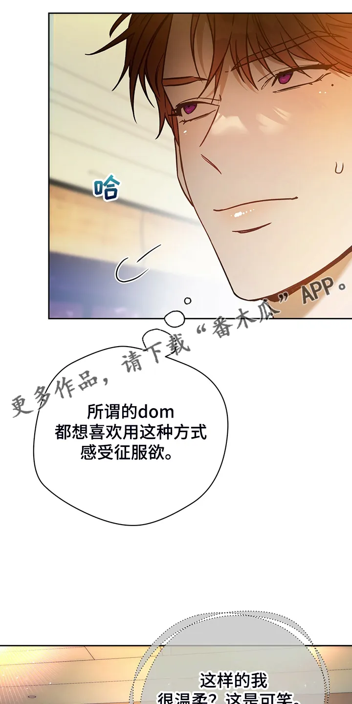 佣兵保镖漫画漫画,第115章：【第二季】看到了什么？1图