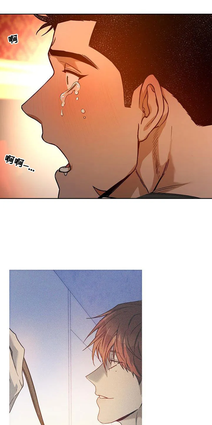 佣兵保镖漫画漫画,第158章：【第三季】太珍贵了15图