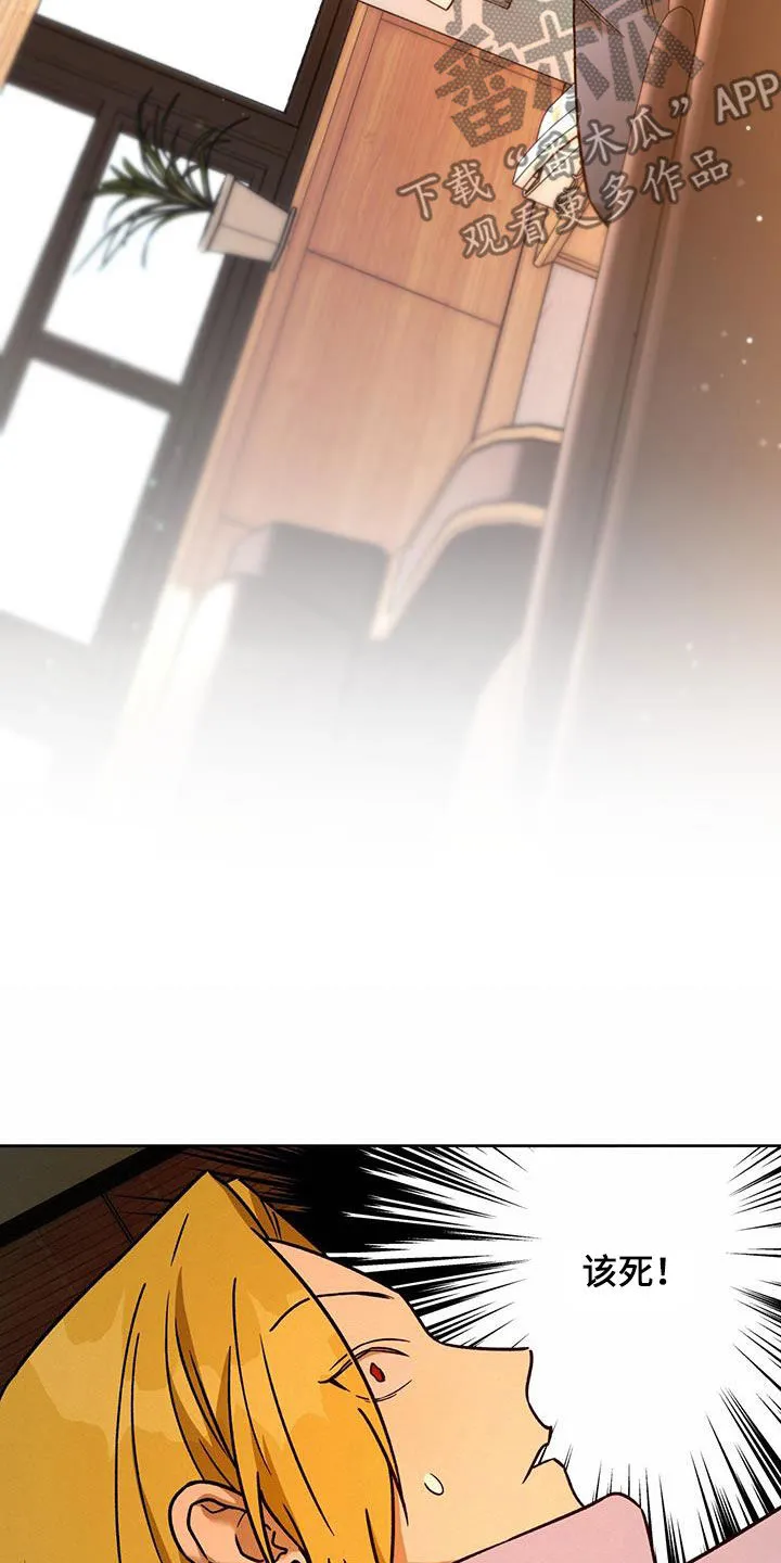 佣兵保镖漫画漫画,第165章：【第三季】准备16图