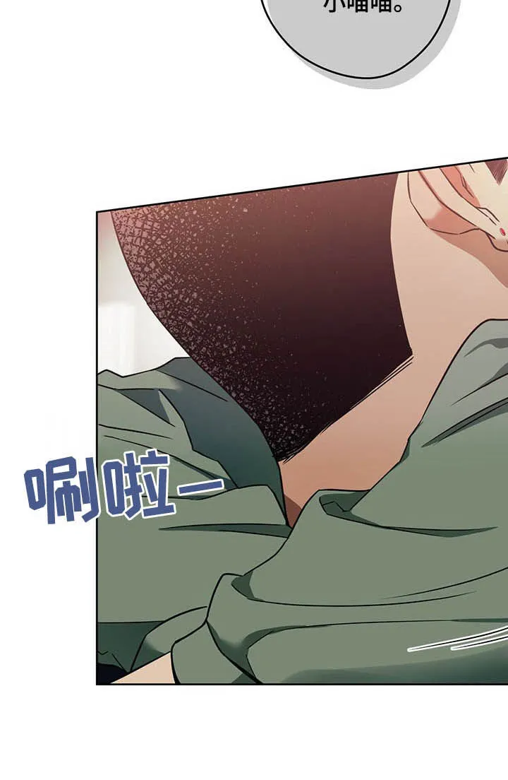 佣兵保镖漫画漫画,第84章：【第二季】加班7图