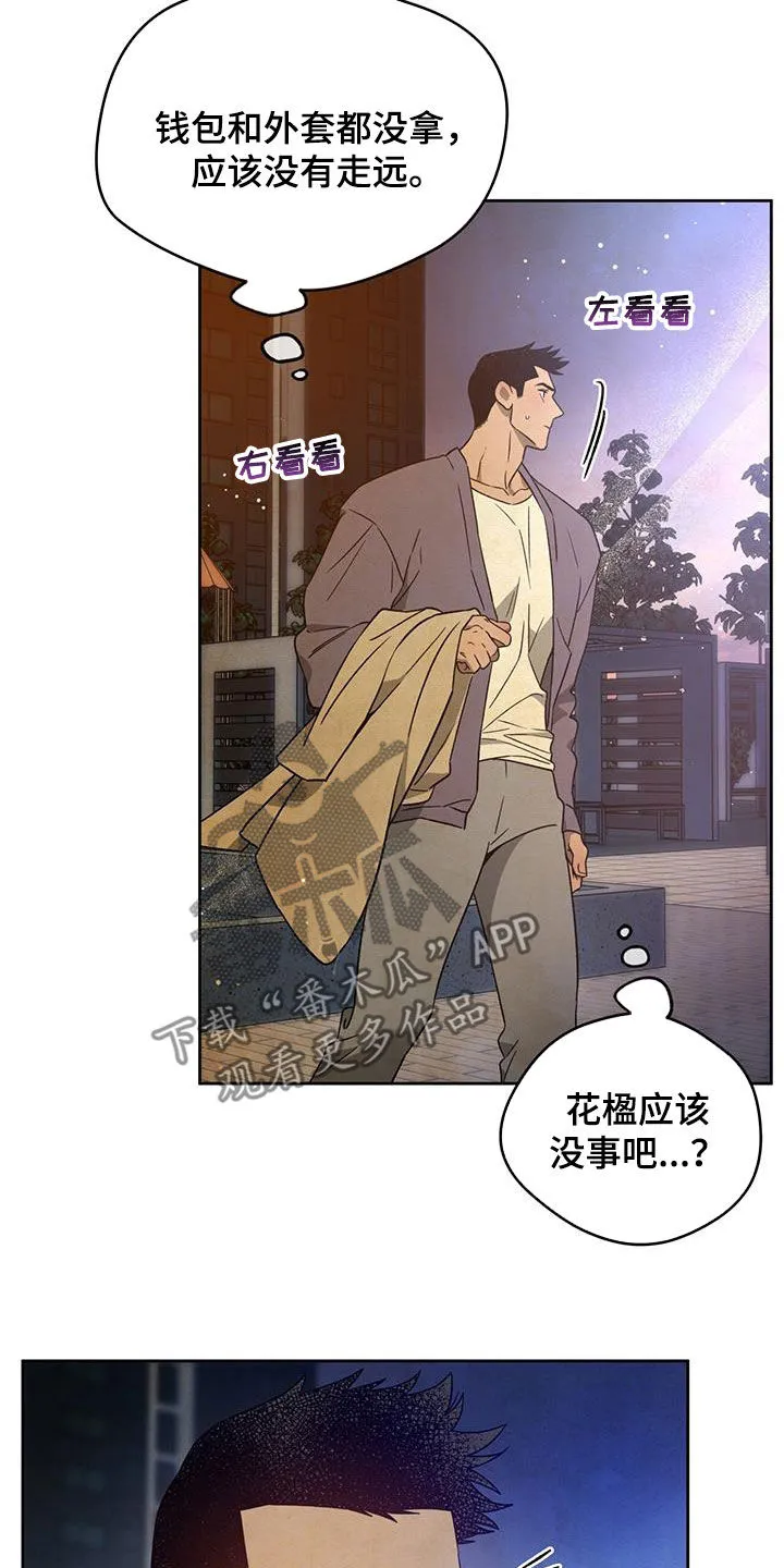 佣兵保镖漫画未删减版免费观看漫画,第142章：【第三季】忙碌24图