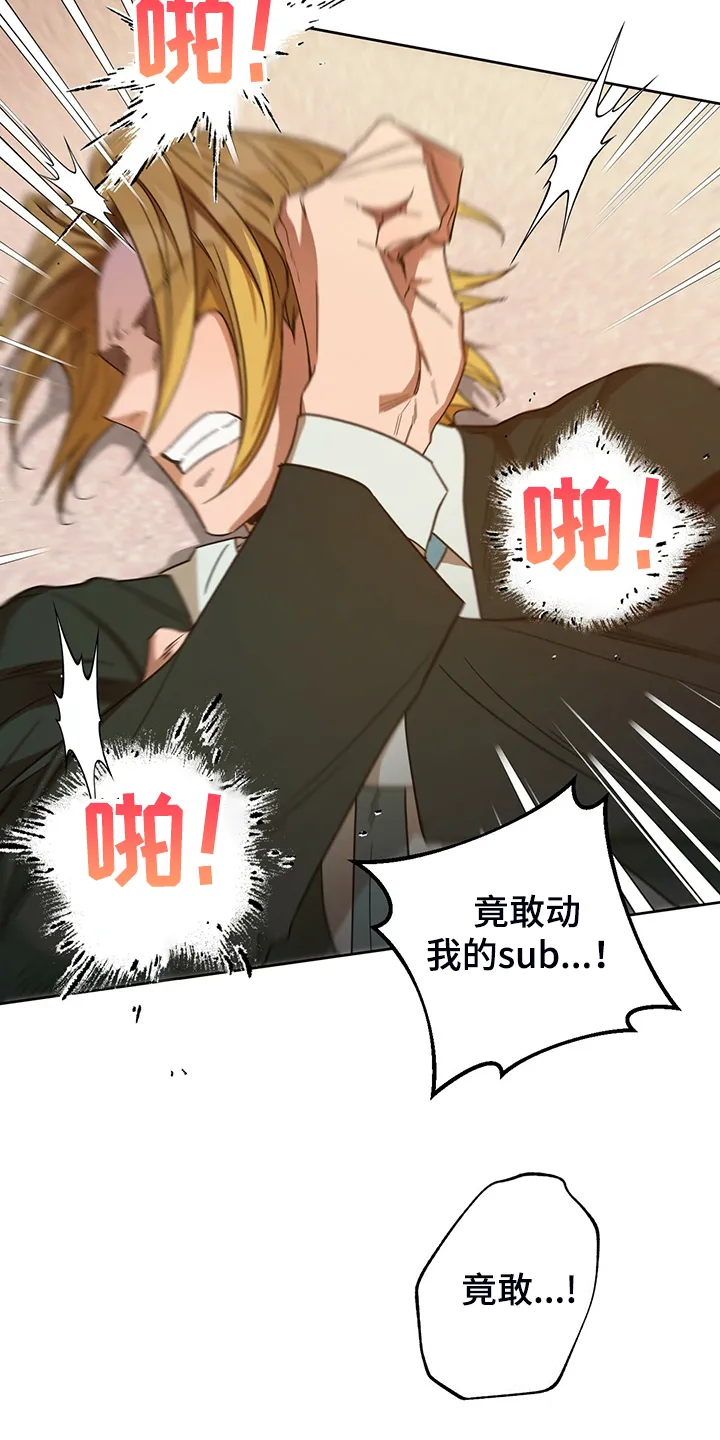 佣兵保镖漫画漫画,第112章：【第二季】你竟敢5图