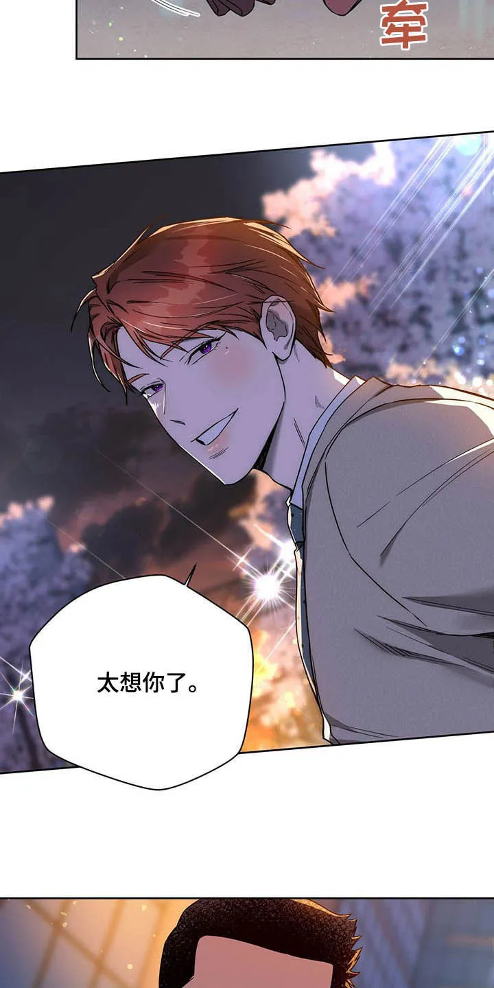 佣兵保镖漫画漫画,第87章：【第二季】异样13图