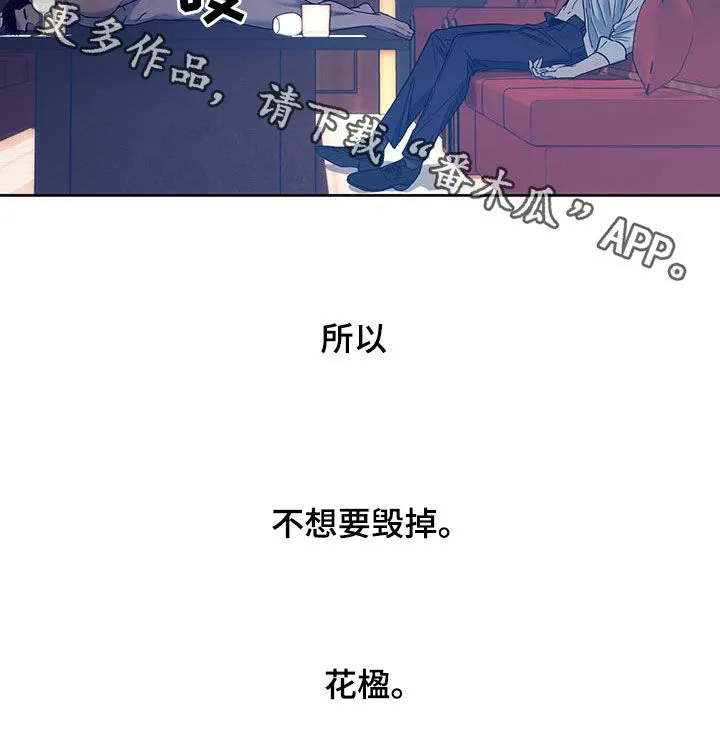佣兵保镖漫画漫画,第158章：【第三季】太珍贵了22图