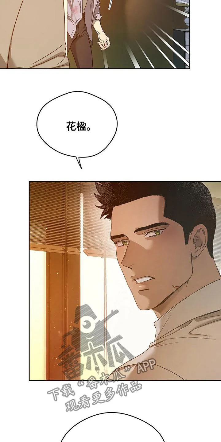 佣兵保镖漫画双男主漫画,第135章：【第三季】转移视线6图