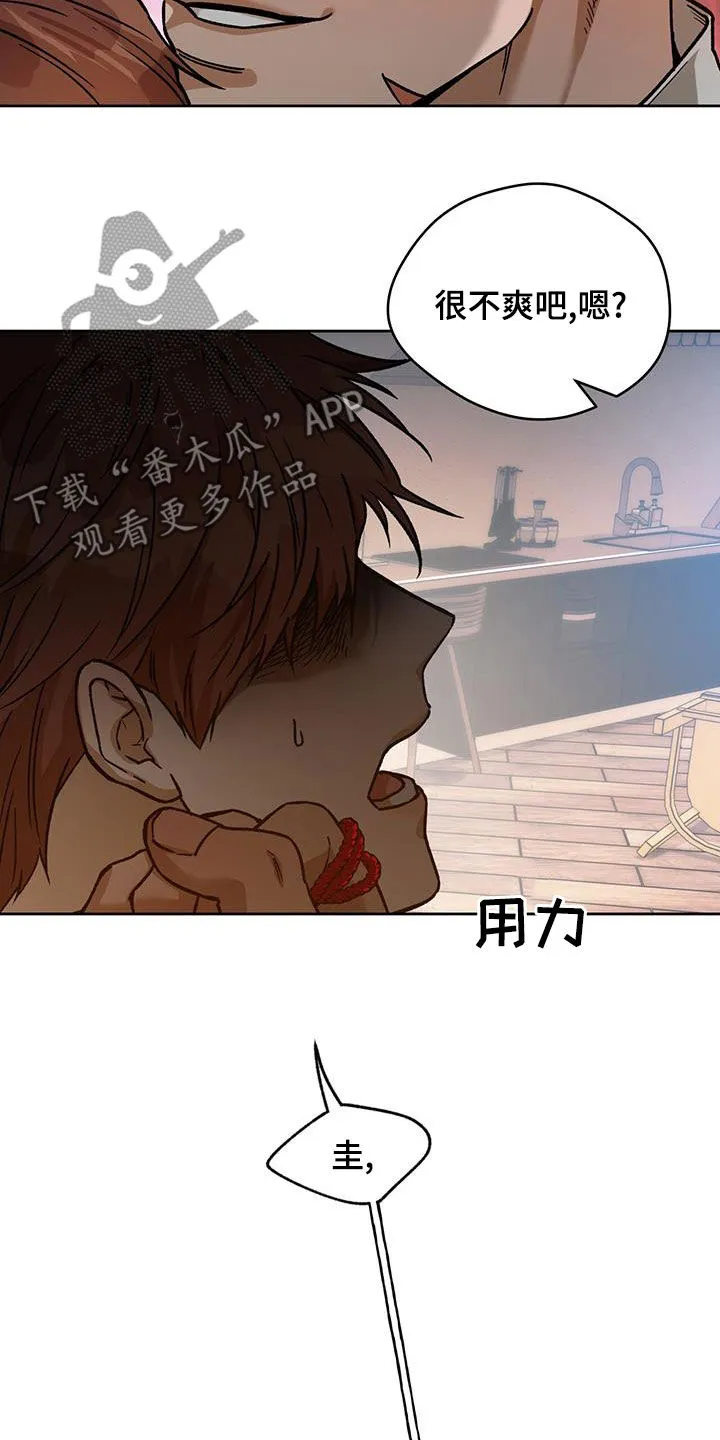 佣兵保镖漫画漫画,第176章：【第三季】感想6图