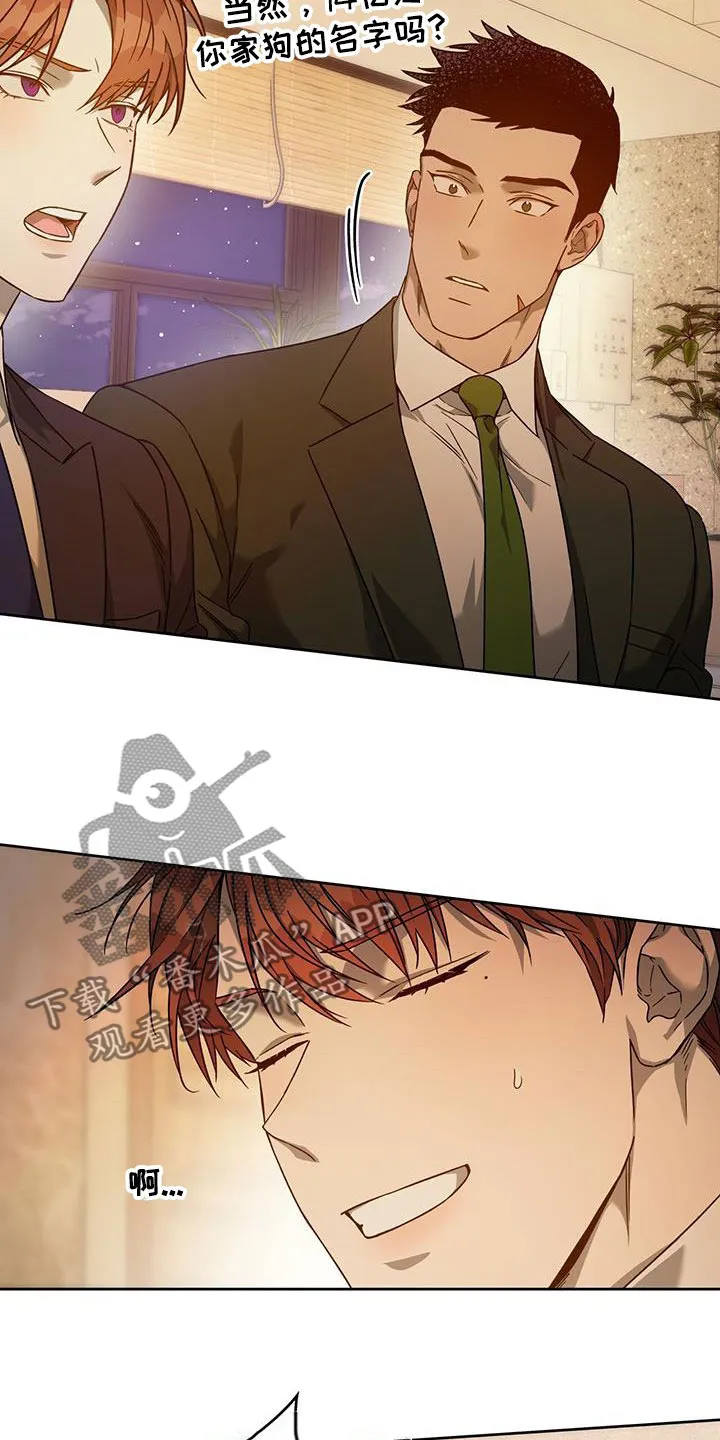 佣兵保镖漫画漫画,第146章：【第三季】求助6图