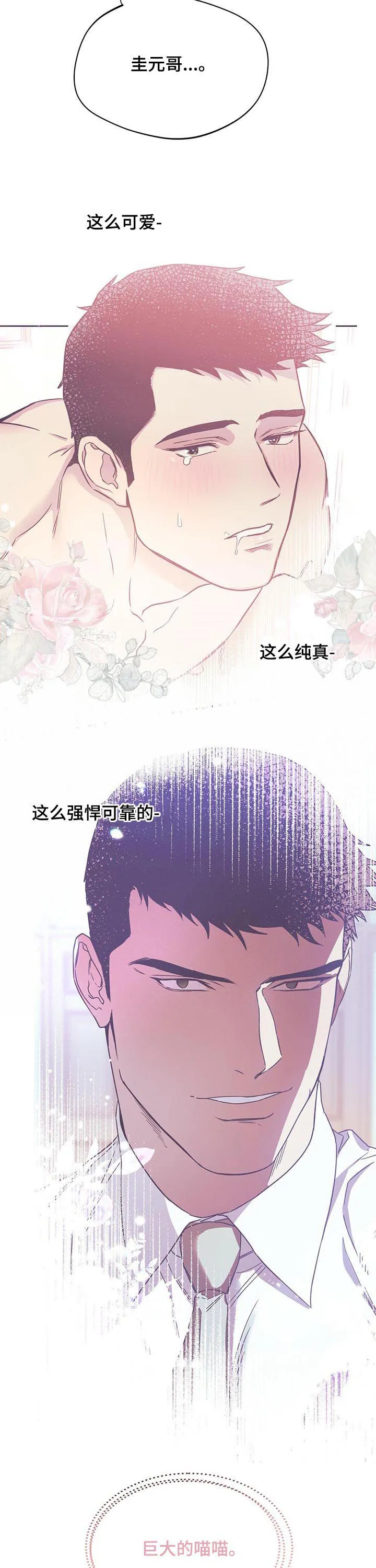 佣兵保镖漫画漫画,第71章：男主角8图