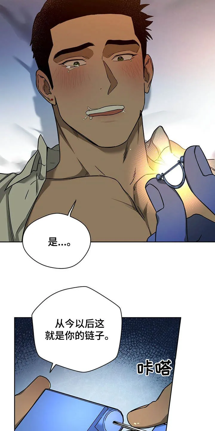 佣兵保镖漫画漫画,第97章：【第二季】苍蝇7图