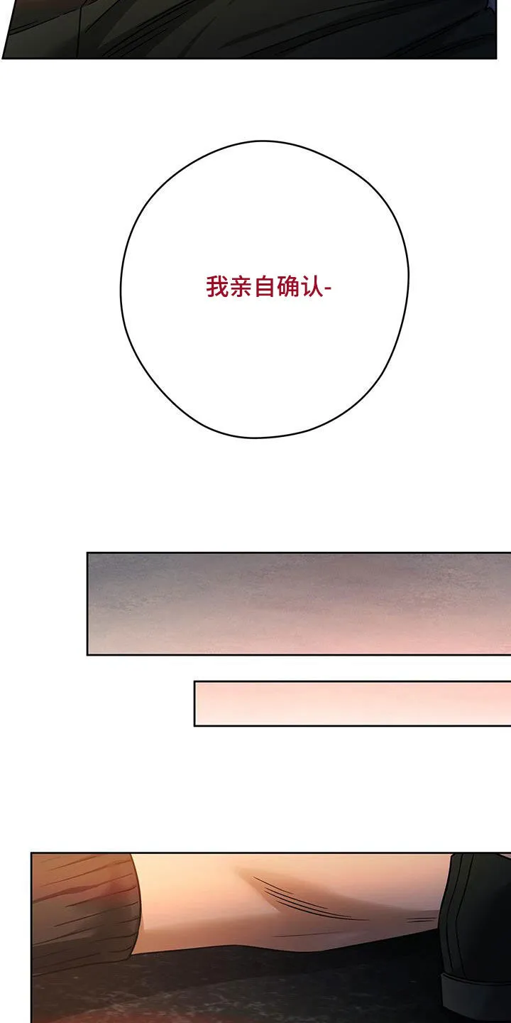 佣兵保镖漫画漫画,第152章：【第三季】亲自确认6图