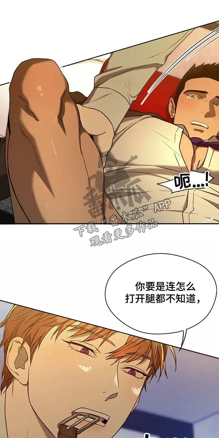 佣兵保镖漫画漫画,第94章：【第二季】没听清13图