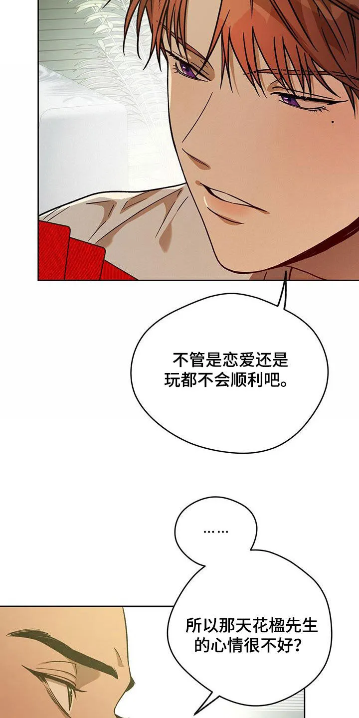 佣兵保镖漫画双男主漫画,第184章：【第三季】花牌8图