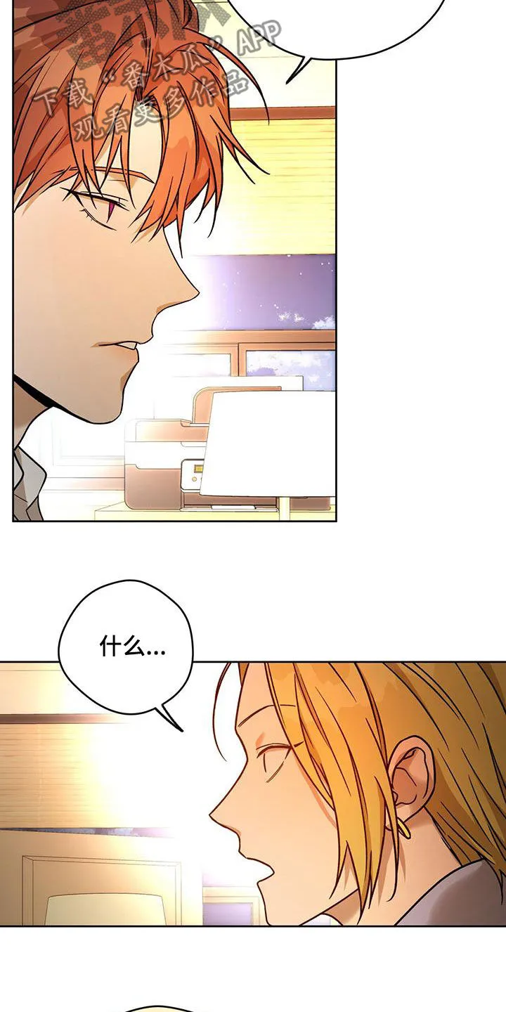佣兵保镖漫画漫画,第166章：【第三季】人选15图