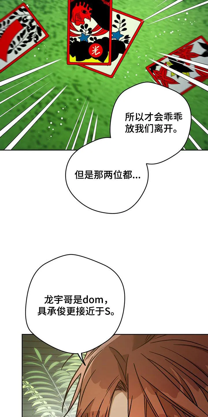 佣兵保镖漫画双男主漫画,第184章：【第三季】花牌7图