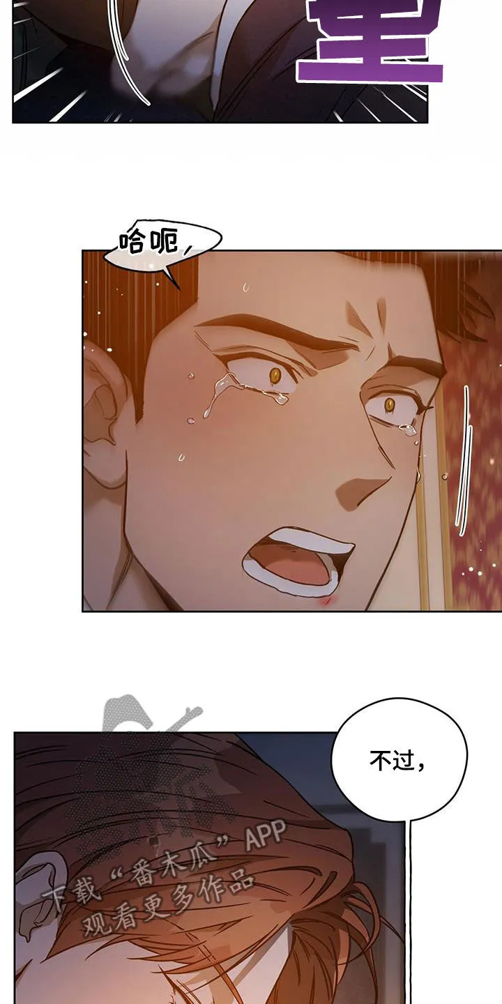 佣兵保镖漫画漫画,第152章：【第三季】亲自确认2图