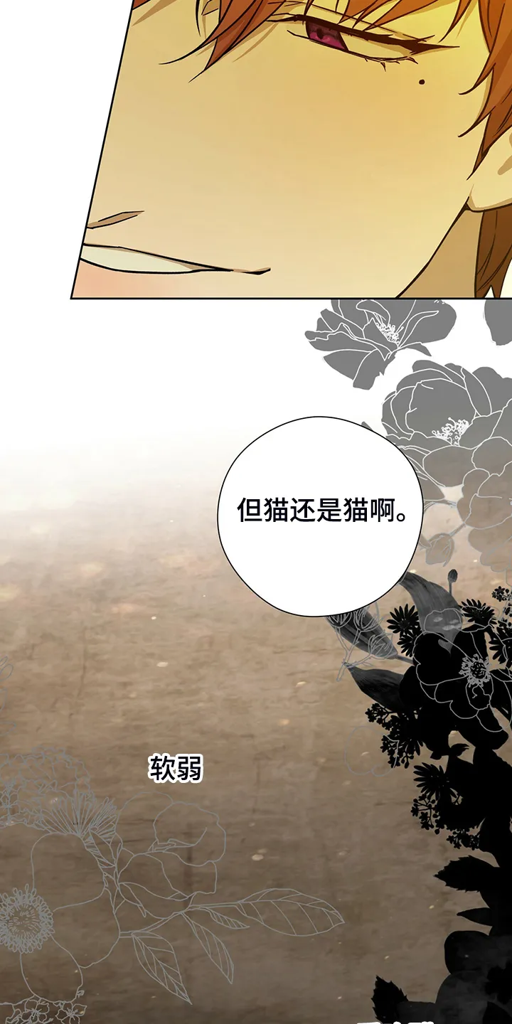 佣兵保镖漫画双男主漫画,第113章：【第二季】轮到你了18图