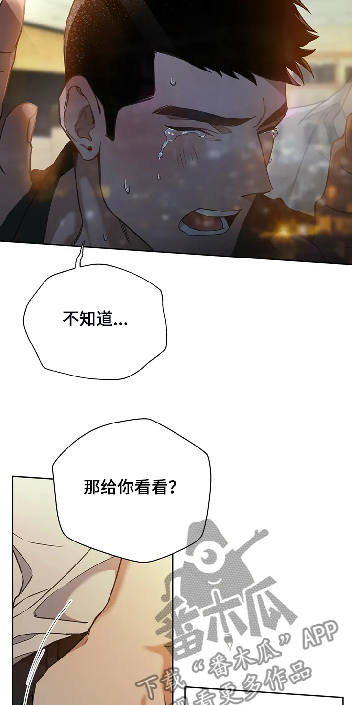 佣兵保镖漫画漫画,第115章：【第二季】看到了什么？12图