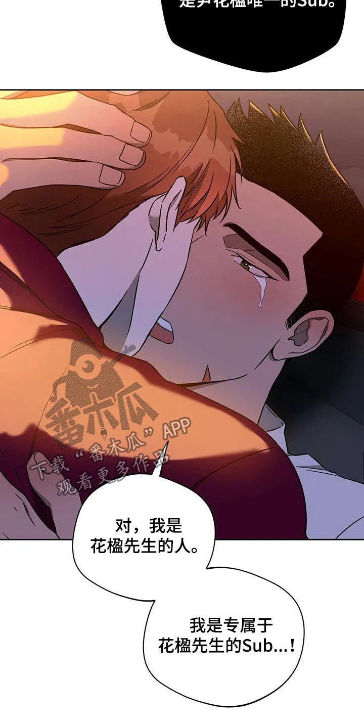 佣兵保镖漫画漫画,第103章：【第二季】犹豫5图