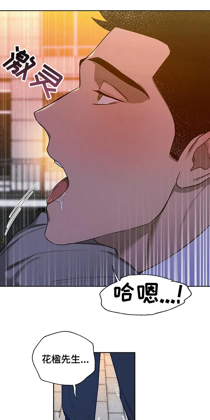 佣兵保镖漫画双男主漫画,第102章：【第二季】背你过去19图