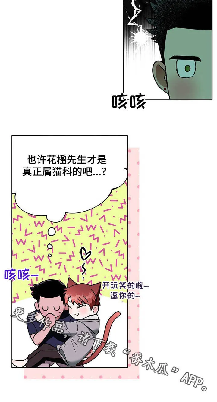 佣兵保镖漫画漫画,第83章：【第二季】夜店老板12图