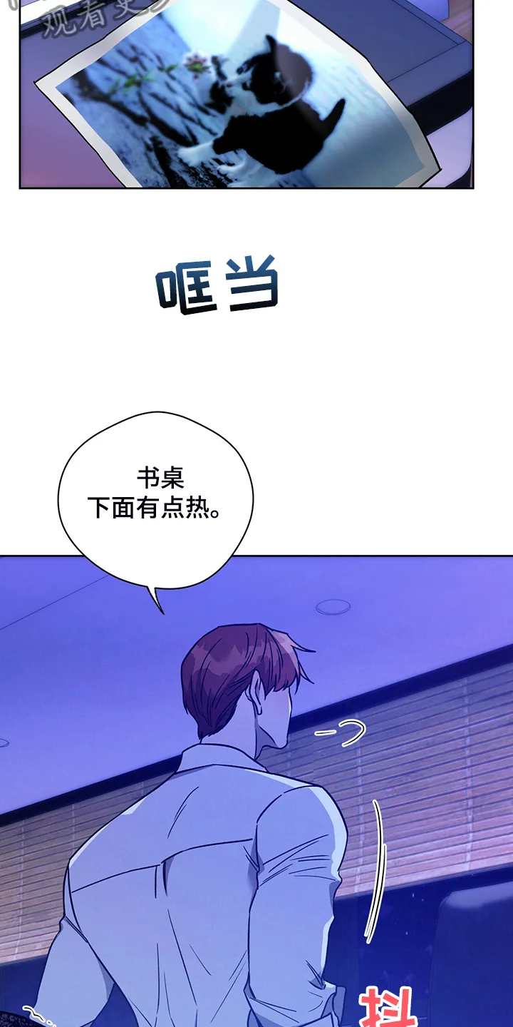 佣兵保镖漫画未删减版免费观看漫画,第117章：【第二季】告诉我不是6图