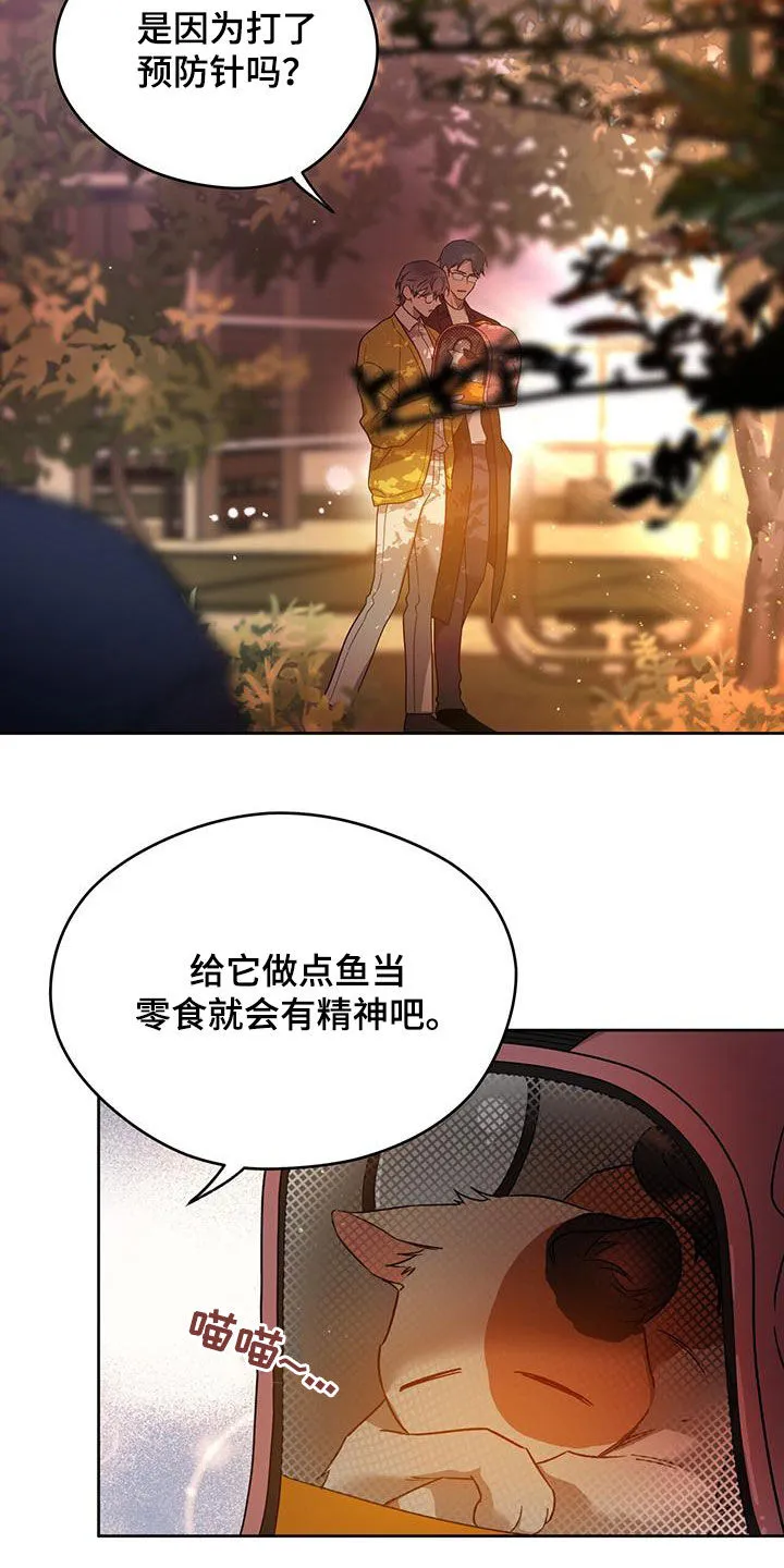漫画 佣兵保镖漫画,第141章：【第三季】相似的感觉3图