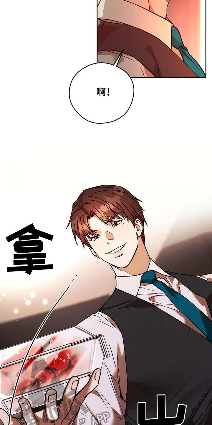 佣兵保镖漫画双男主漫画,第174章：【第三季】脆弱的草莓13图