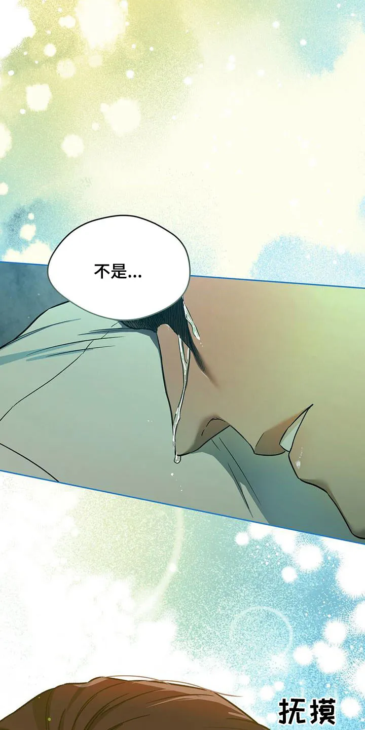 佣兵保镖漫画漫画,第131章：【第二季】感动23图