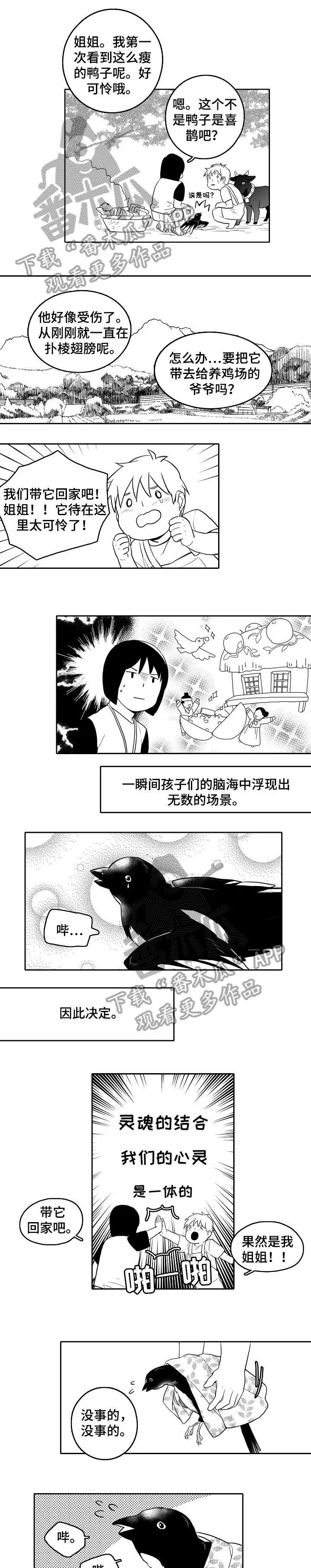 隐世华族漫画漫画,第19章：受伤1图