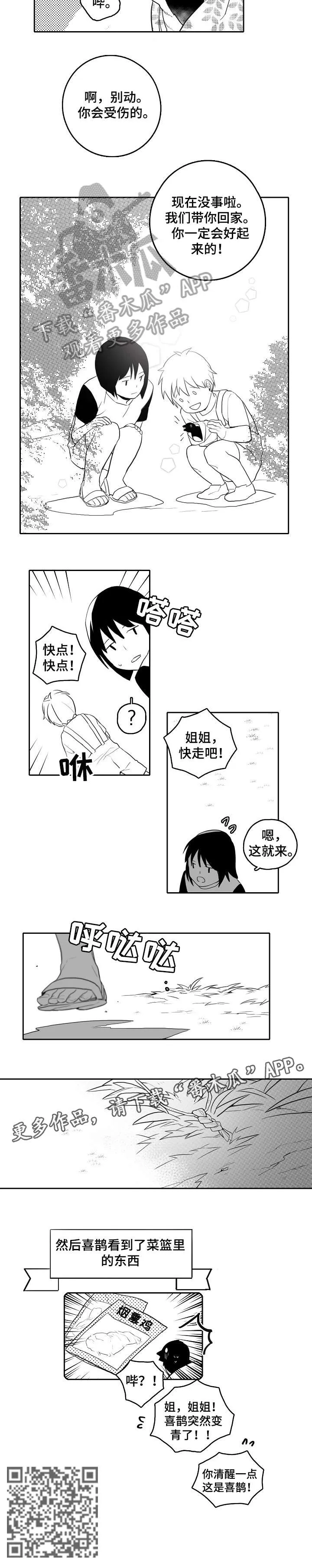 隐世华族漫画漫画,第19章：受伤2图