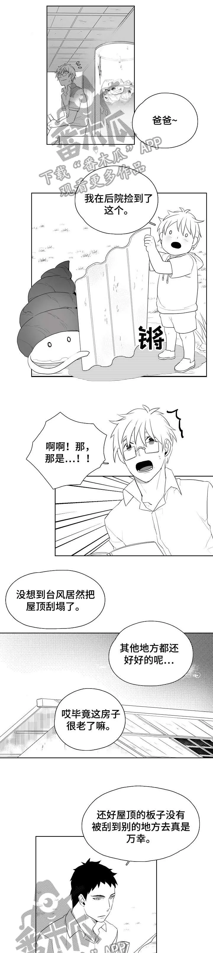 虎鲸家族漫画漫画,第11章：屋顶1图
