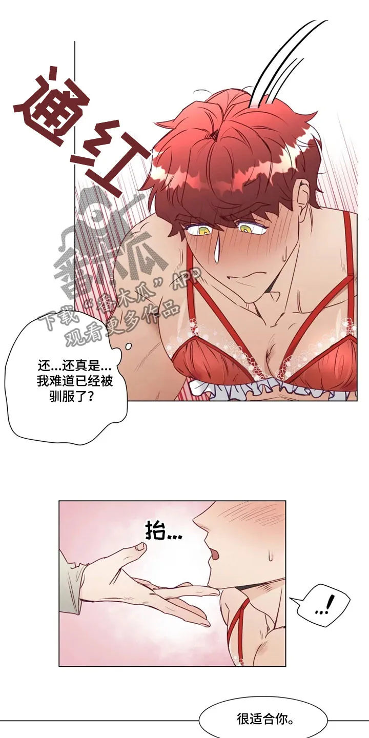 神的祭品先生漫画漫画,第15章：屈服13图