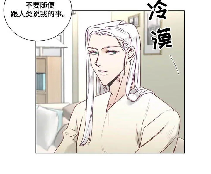 神的祭品先生漫画漫画,第11章：特别的存在4图
