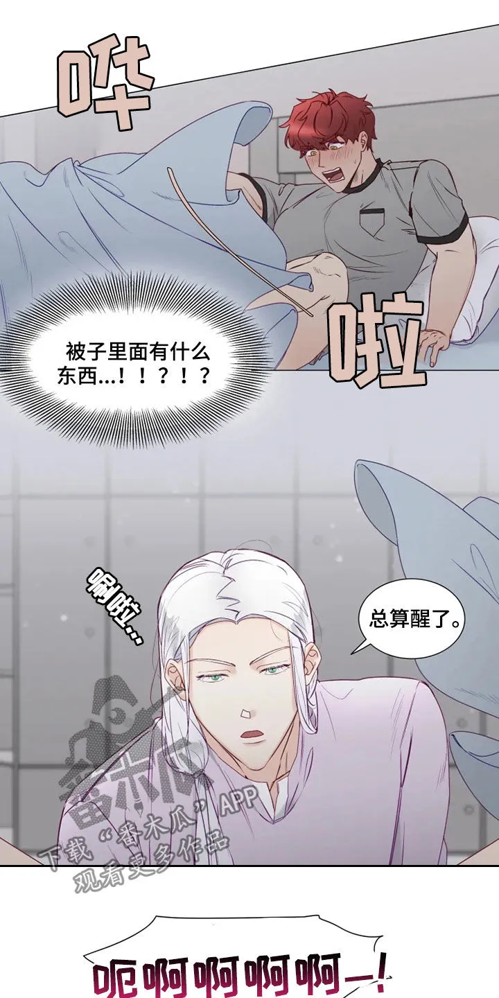 神的祭品先生漫画漫画,第19章：梦中惊醒9图