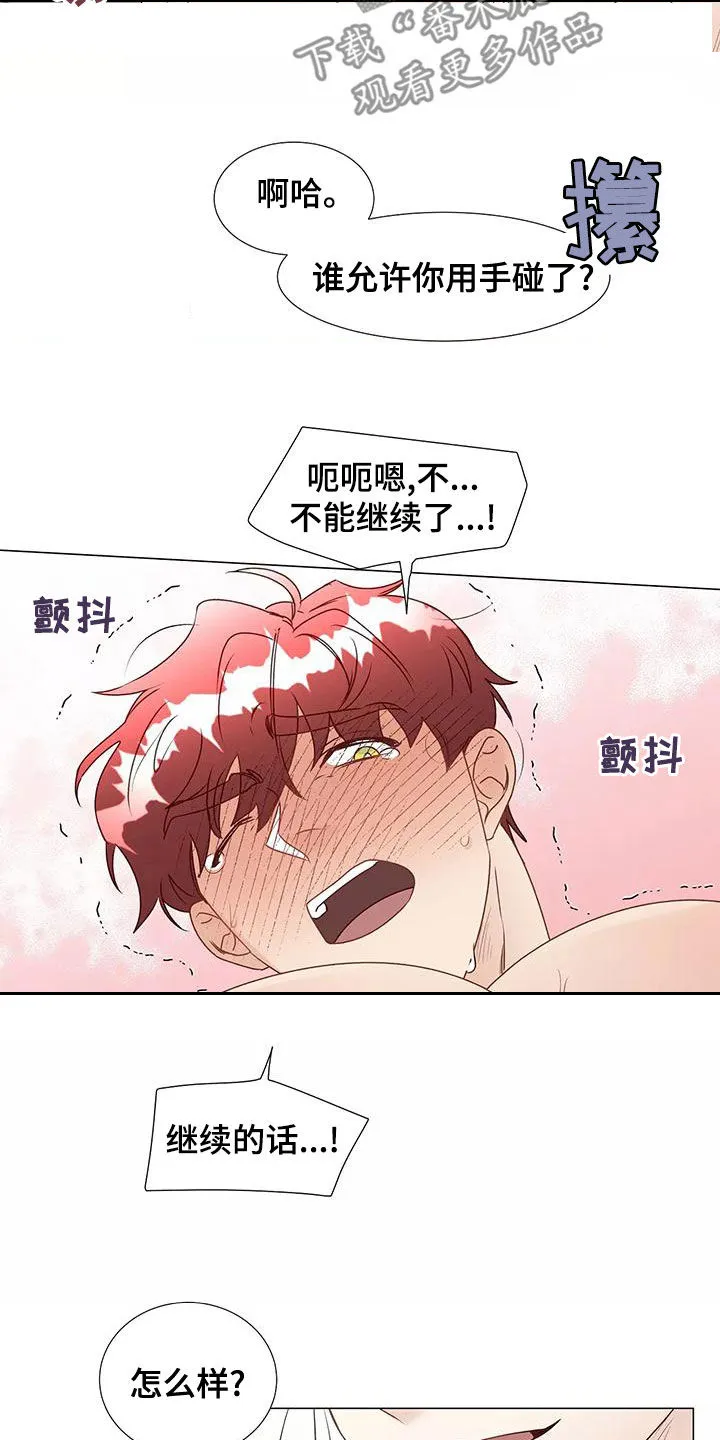 神的祭品先生漫画漫画,第48章：一起来4图