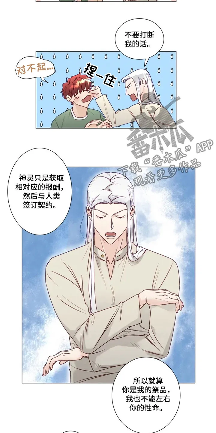 神的祭品先生漫画漫画,第14章：危险的存在12图