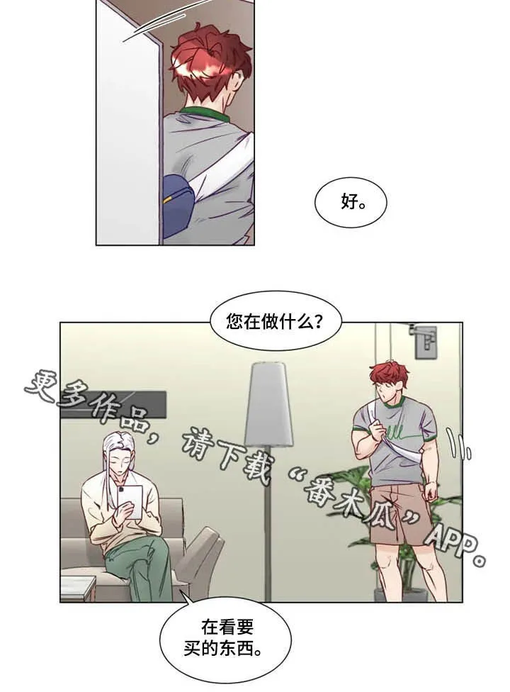 神的祭品先生漫画漫画,第10章：有钱人15图