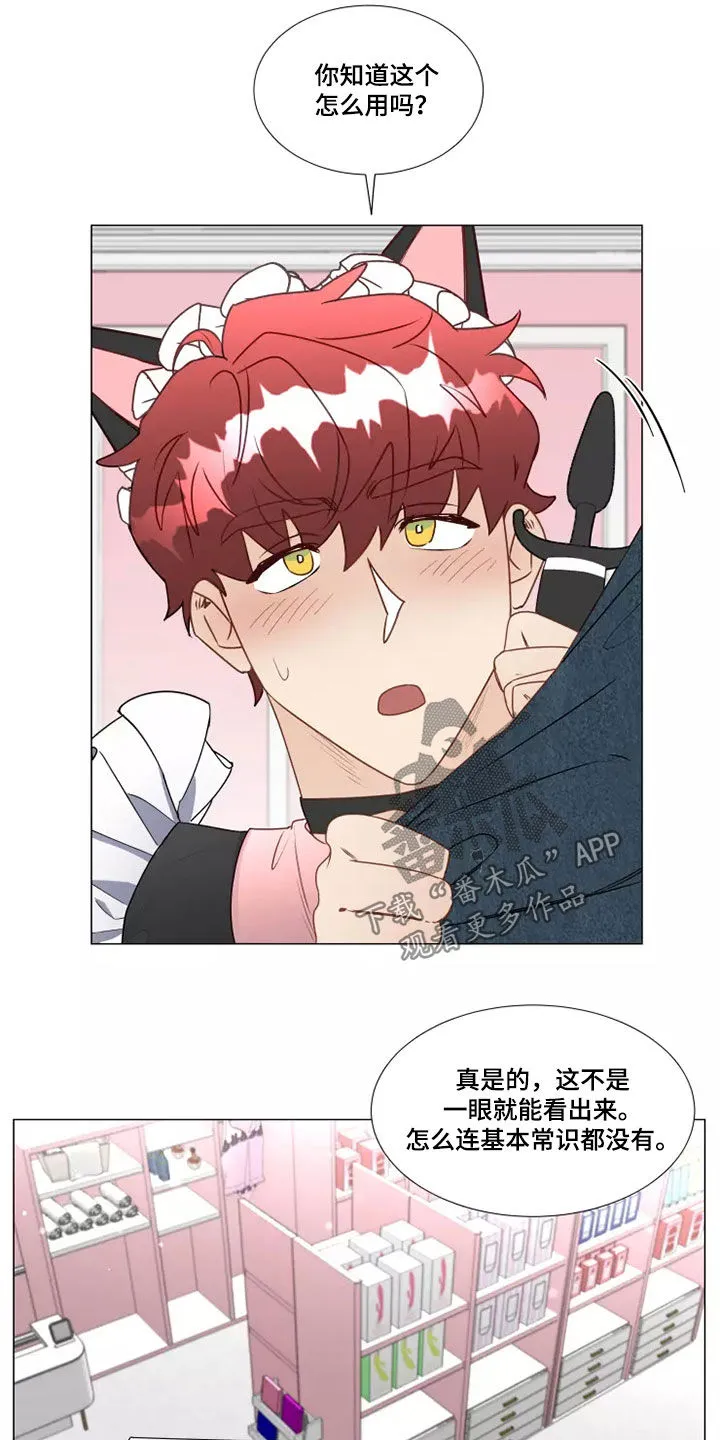 神的祭典漫画漫画,第40章：像样的约会6图