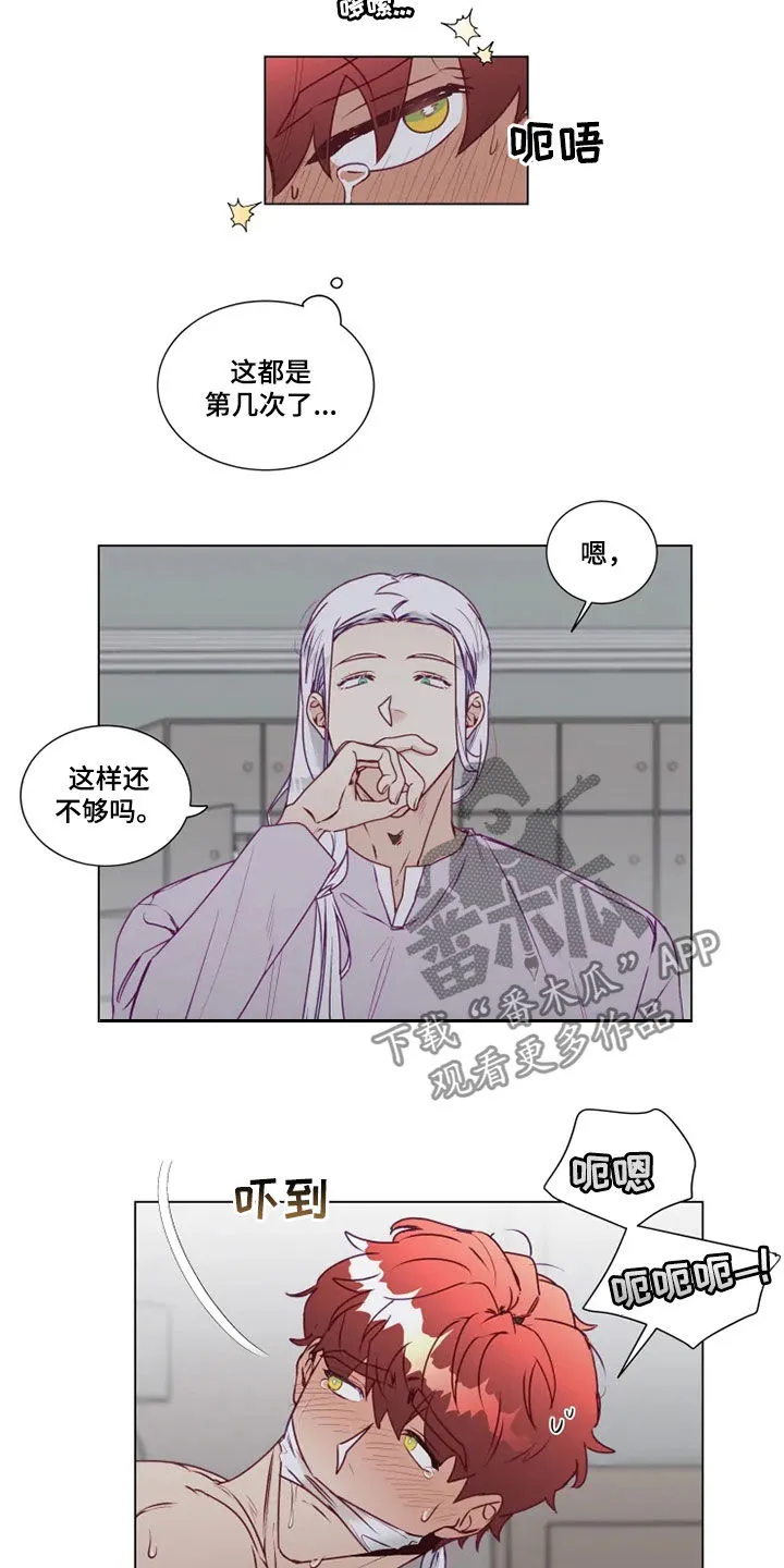 神的祭品先生漫画漫画,第21章：猜不透2图