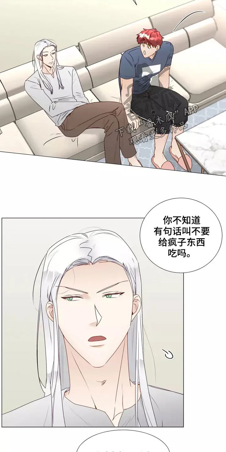 神的祭品先生漫画漫画,第38章：吃醋11图