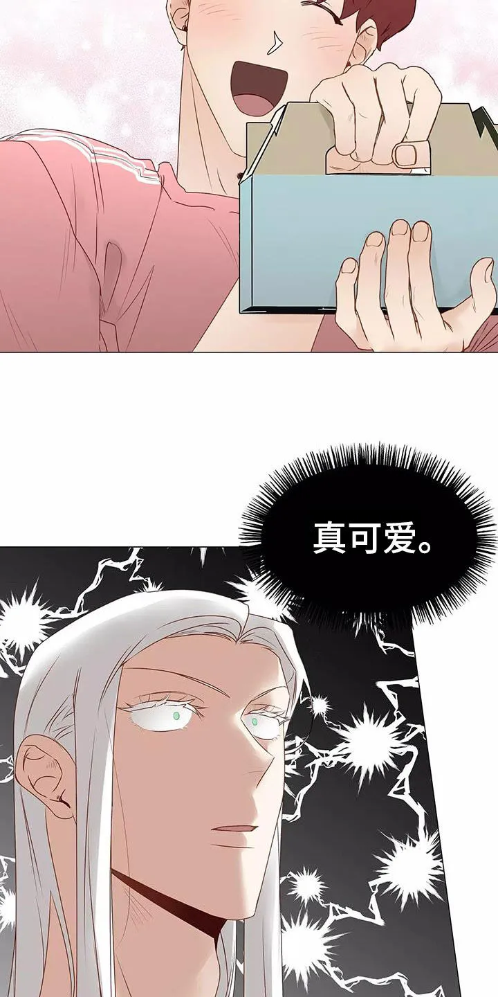 神的祭品先生漫画漫画,第52章：喜欢2图